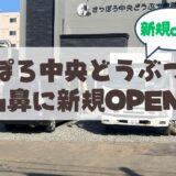 【OPEN】札幌市中央区・山鼻エリアに「さっぽろ中央どうぶつ病院」が新規オープン♪