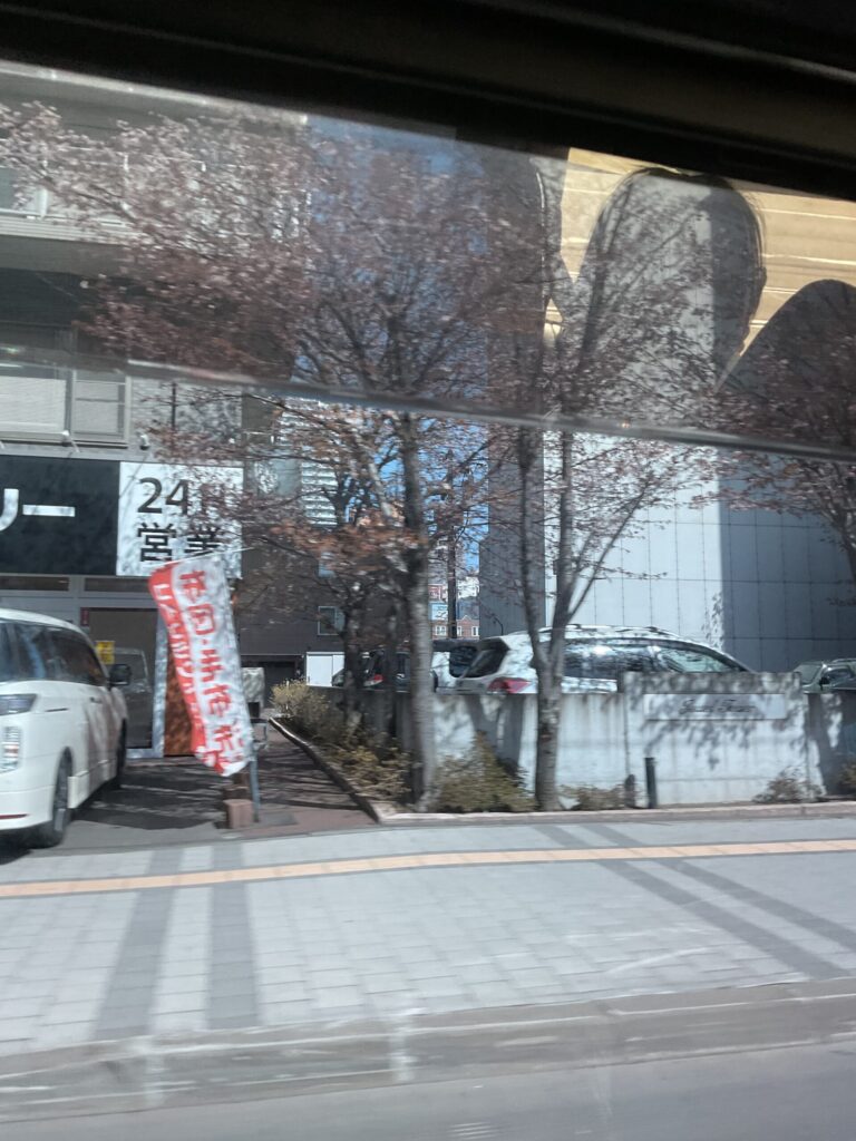 東本願寺前の桜
