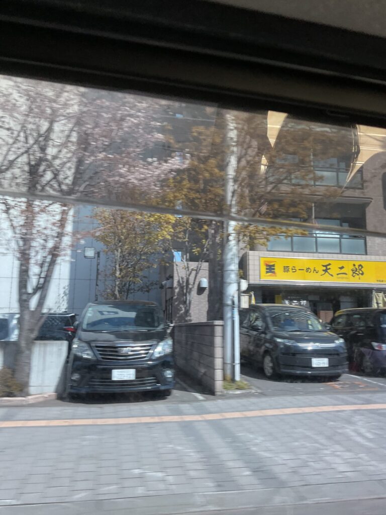 東本願寺前の桜