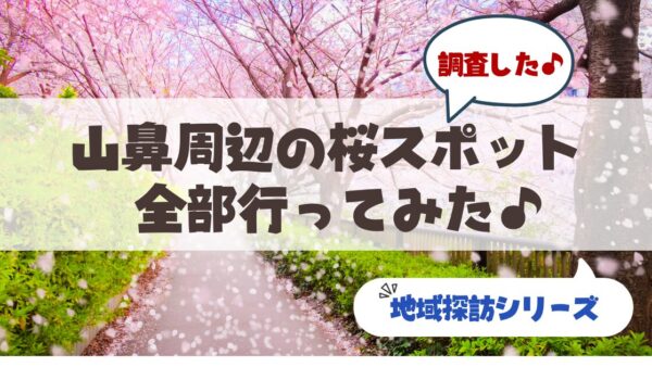 【地元民が教える】札幌・山鼻エリア桜スポット＆花見まとめ