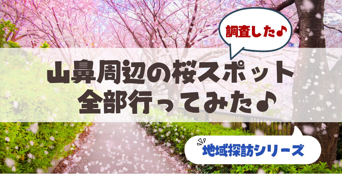 【地元民が教える】札幌・山鼻エリアの桜スポット＆散策ガイド