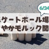 【札幌市山鼻地区】「すこやかモルック」6/24開催まとめ