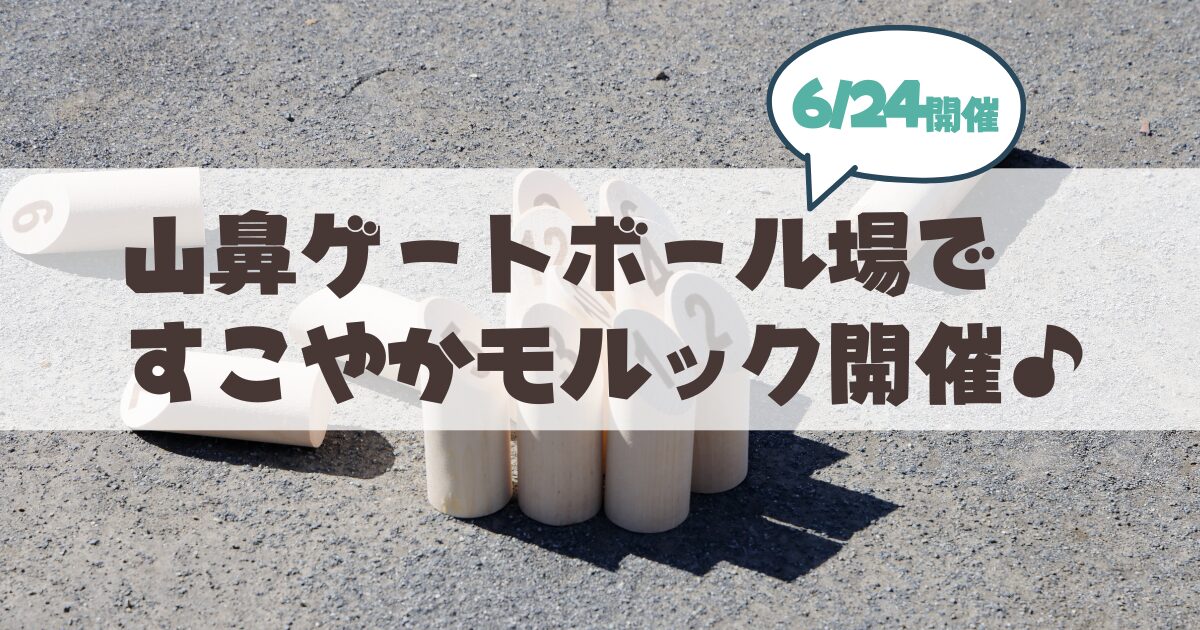 【札幌市山鼻地区】「すこやかモルック」6/24開催まとめ