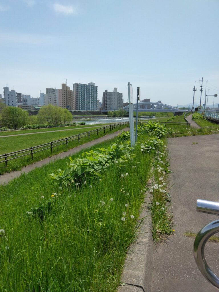 豊平川2