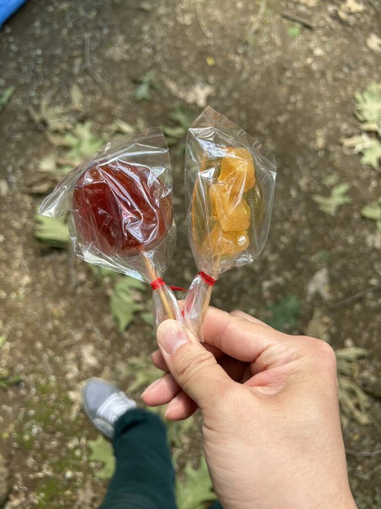 札幌まつりフルーツあめ