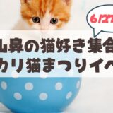 【6月27日】札幌山鼻の猫好き大集合！『カリカリ猫まつり』の見どころ・出店ブースを徹底紹介！