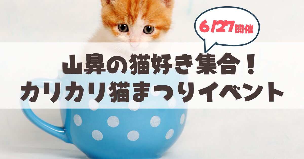 【6月27日】札幌山鼻の猫好き大集合！『カリカリ猫まつり』の見どころ・出店ブースを徹底紹介！
