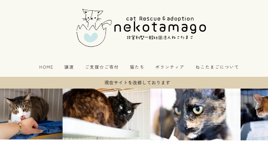 命を救うチャリティー 非営利活動法人ねこたまご