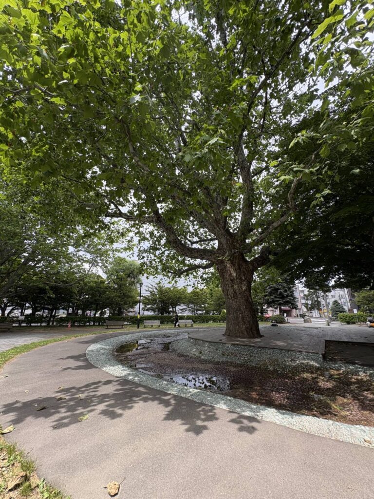 山鼻公園