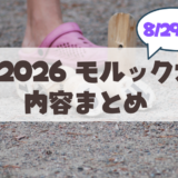 【8月29日】札幌・豊平川「川見2026 モルック大会」完全ガイド！参加方法・ルール・事前練習情報まとめ