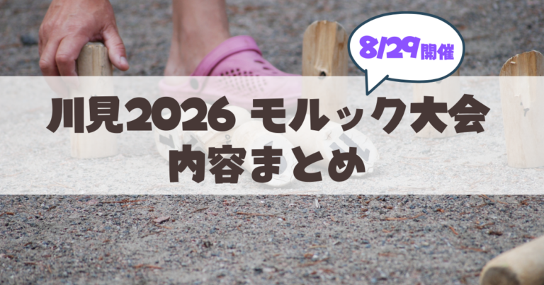 【8月29日】札幌・豊平川「川見2026 モルック大会」完全ガイド！参加方法・ルール・事前練習情報まとめ