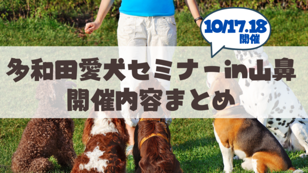 【10月17/18日】多和田愛犬セミナー in 北海道！盲導犬クイール訓練士から学ぶ「愛犬と通じ合うコツ」
