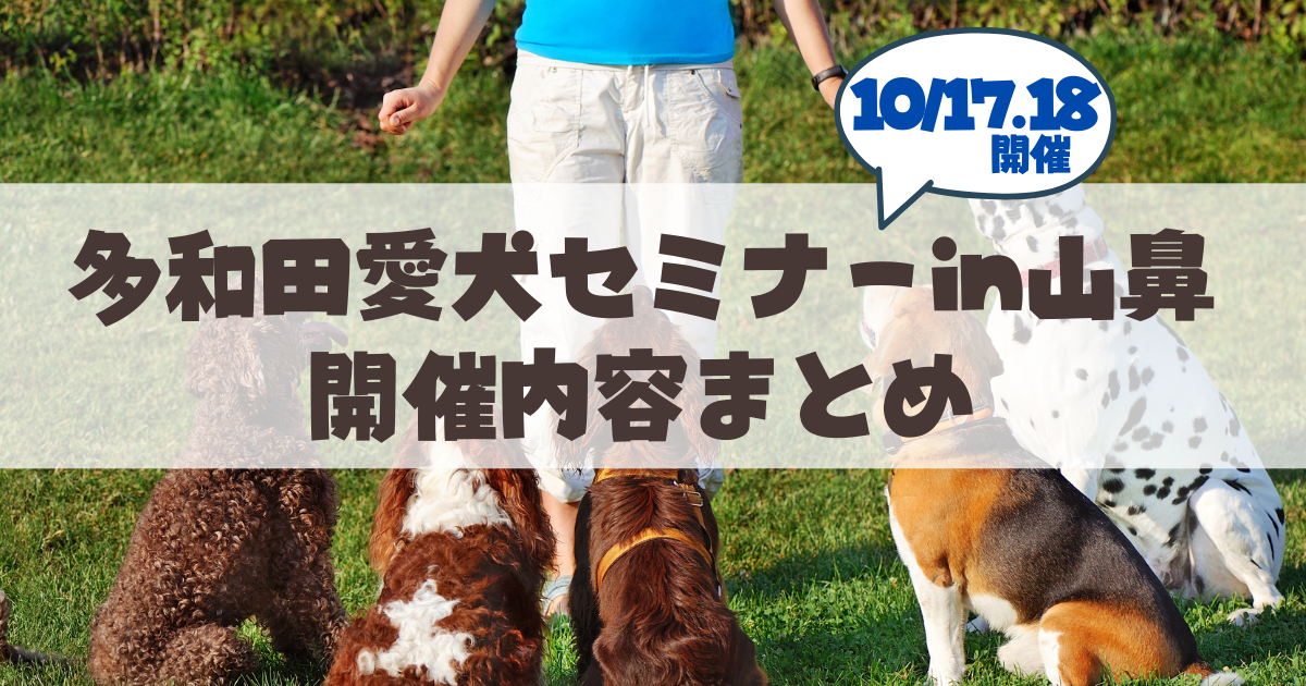 tawada-seminar-dogowners